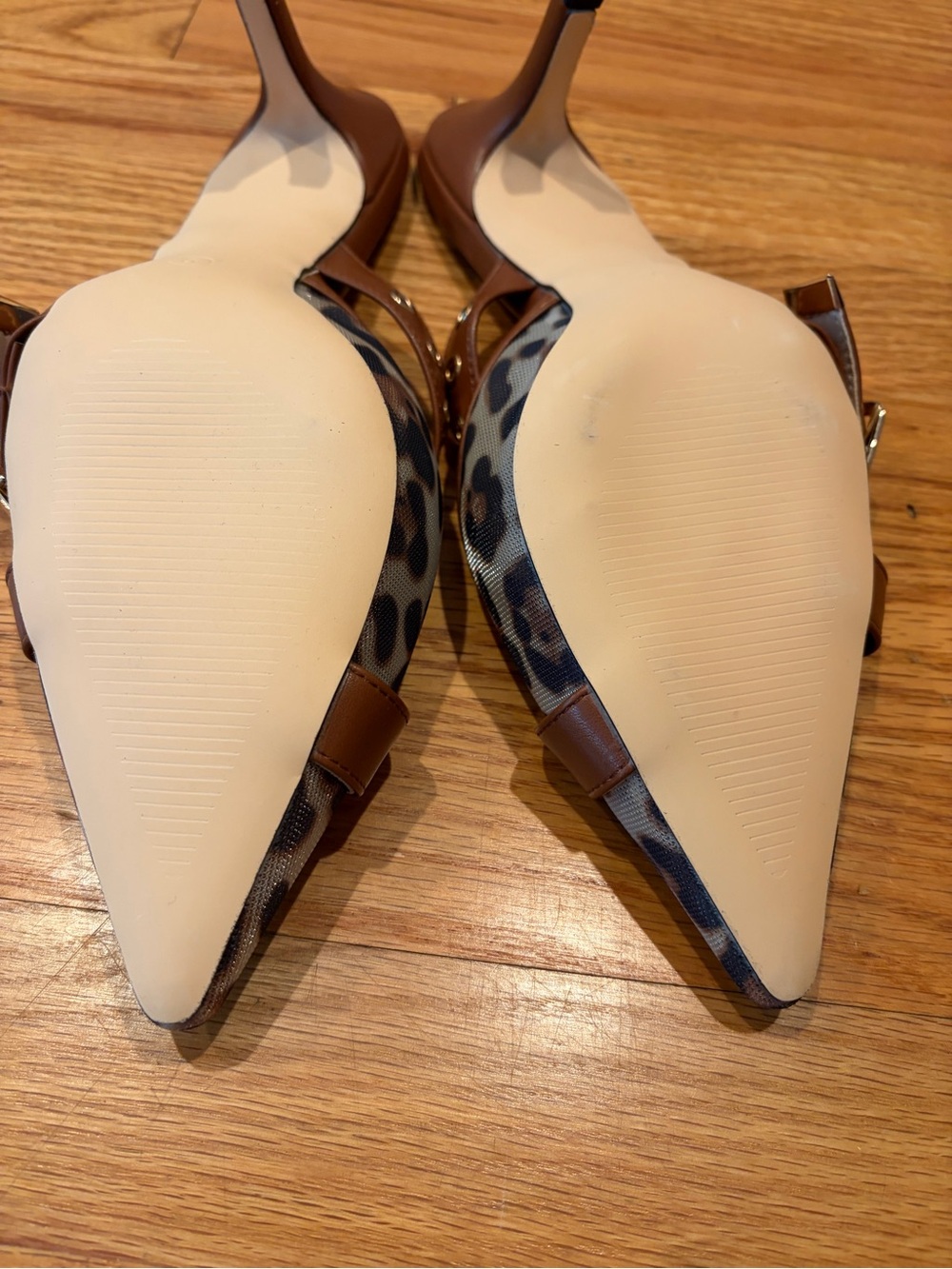 Martina Monteiro Brown Leopard-Print Pointed Mule with Buckle Detail - Picture 7 of 9